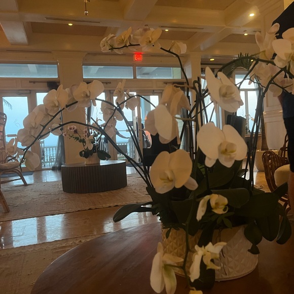 Meet your Posher, Ashley - Picture 8 of 16